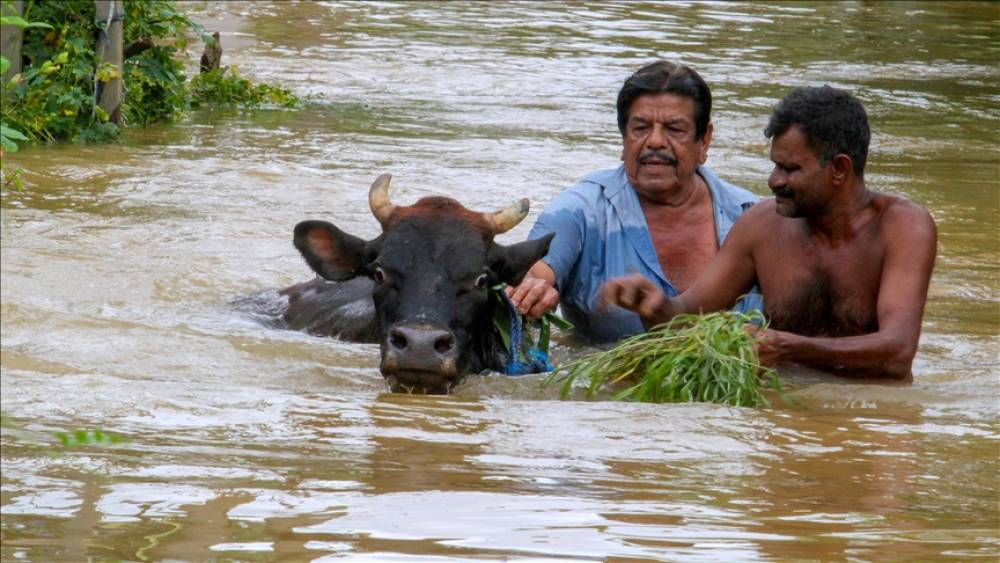 Şri-Lankada bu səbəbdən 47 nəfər həlak oldu