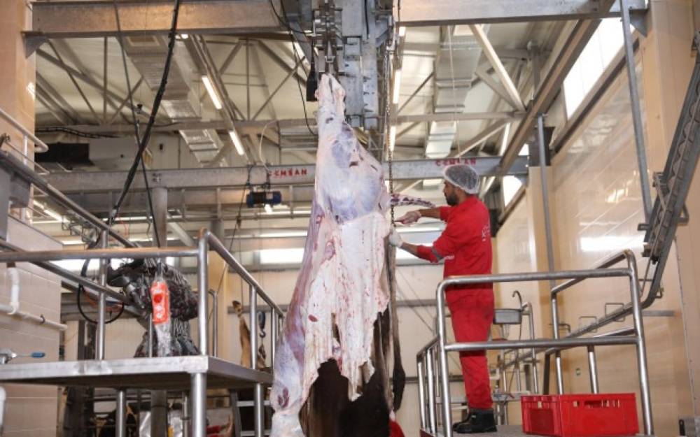 Heyvan kəsim məntəqələrində vəziyyət nə yerdədir? - AÇIQLAMA