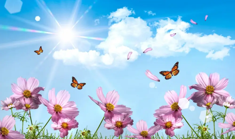 Sabah Bakıda 17, rayonlarda 23 dərəcə isti olacaq - PROQNOZ