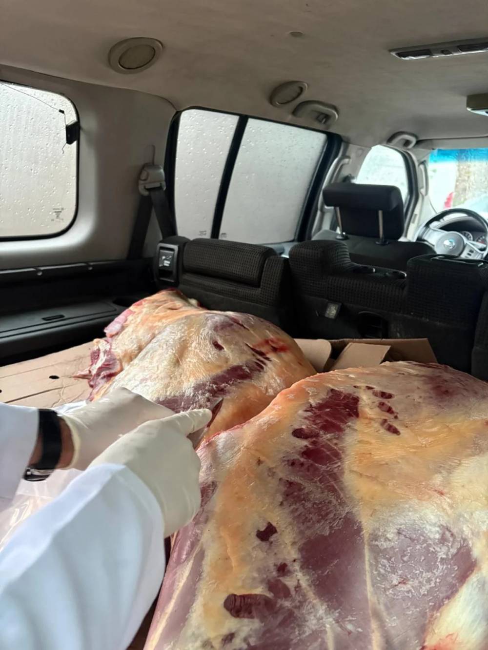 İstehlaka yararsız 227 kq at əti aşkarlanıb