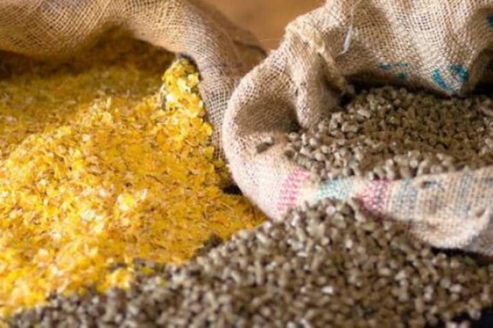 Bakı Şəhər Heyvanat Parkı 350 min manatlıq yem alır - TENDER ELANI