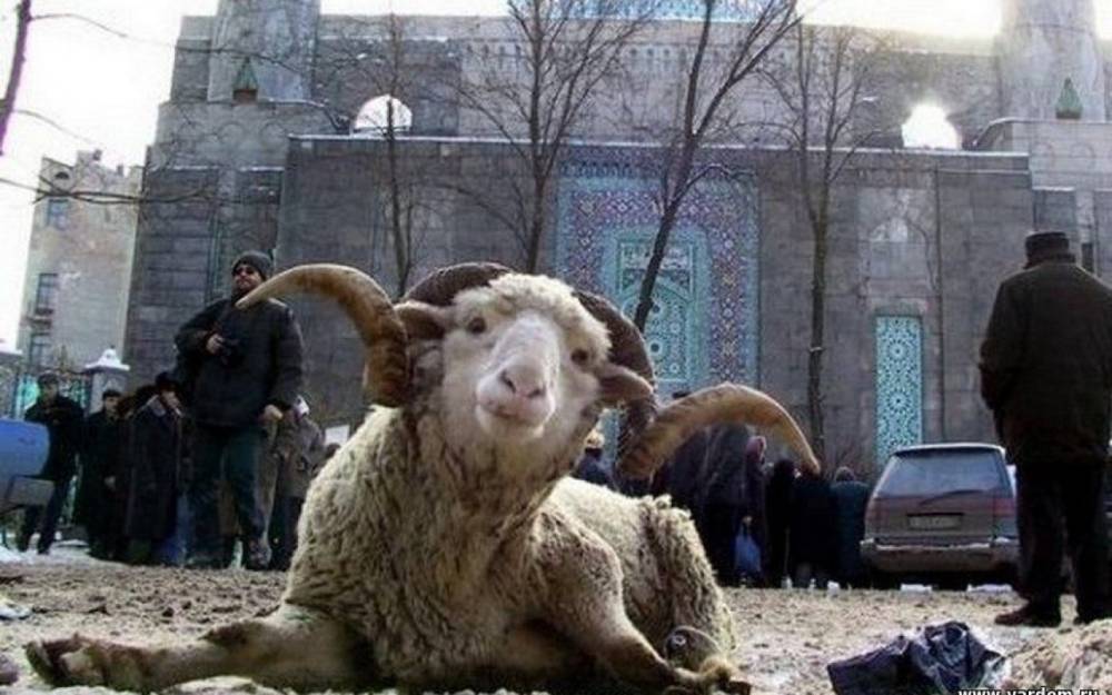 Bayramlarla əlaqədar 5 gün ardıcıl iş olmayacaq