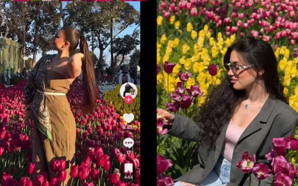 Bulvarda gülləri əzənlər məşhur blogerlər imiş - Adları (FOTOLAR)