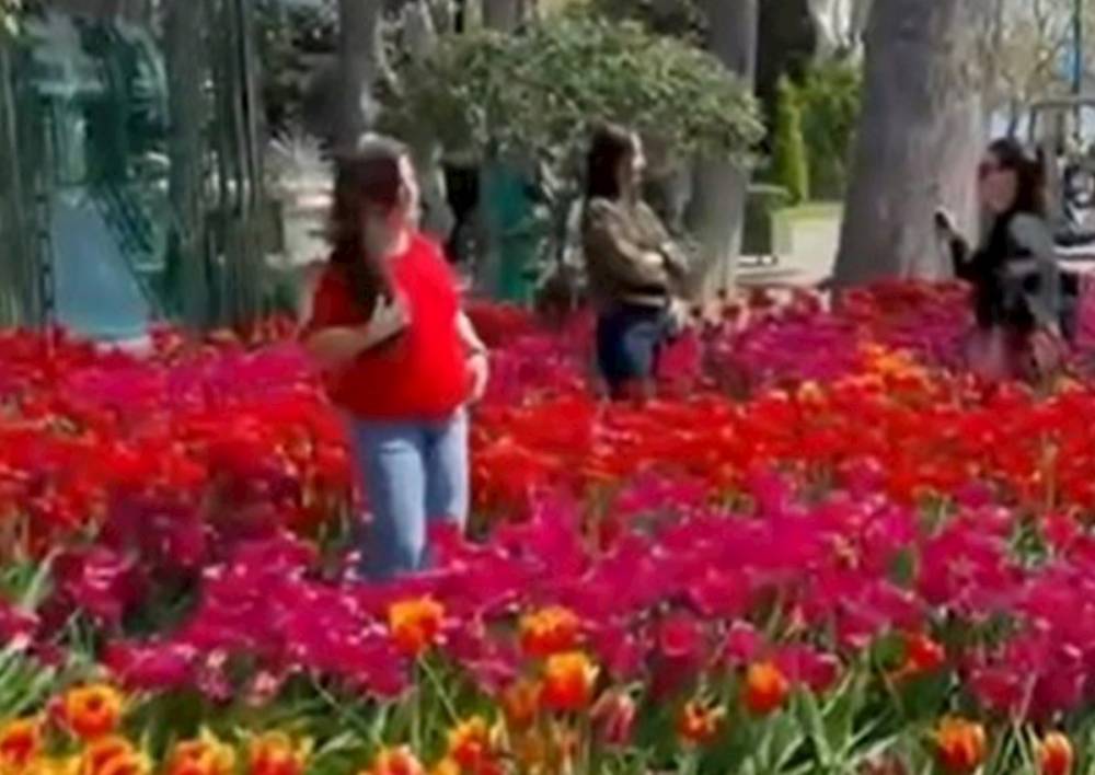 Bulvarda gülləri əzən 10 nəfər polisə çağırıldı — VİDEO