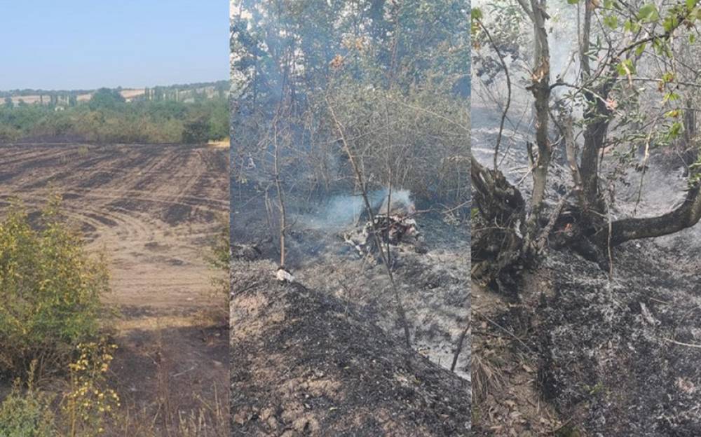 Qubada yanğın törədənlərdən biri həbs olunub, ikisi cərimələnib