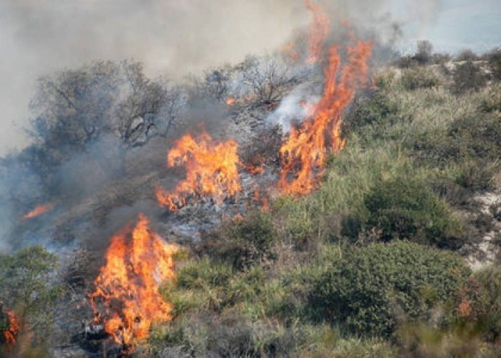 Cəbrayılda açıq ərazidə yanğın oldu