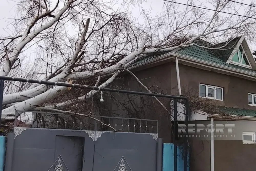 Güclü külək Azərbaycanda bəzi əraziləri işıqsız qoydu