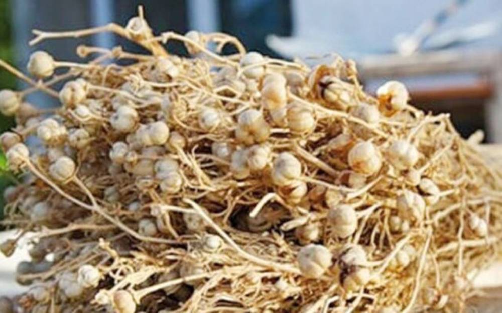 Səhiyyə Nazirliyi üzərliklə bağlı əhaliyə müraciət etdi