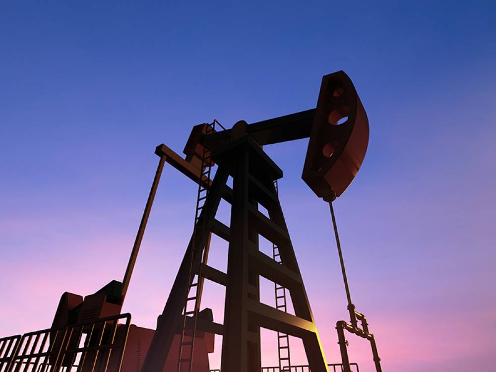 Pakistan neft sahəsində Rusiya ilə əməkdaşlığa maraqlıdır - Səfir 