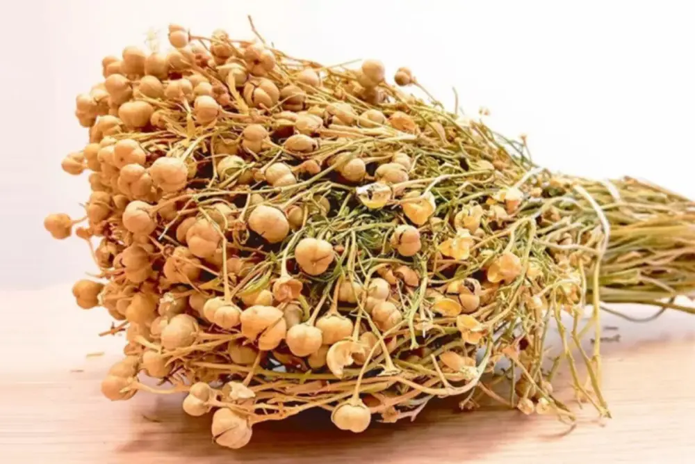 AZAL-dan Rusiyaya üzərlik aparan vətəndaşlara XƏBƏRDARLIQ