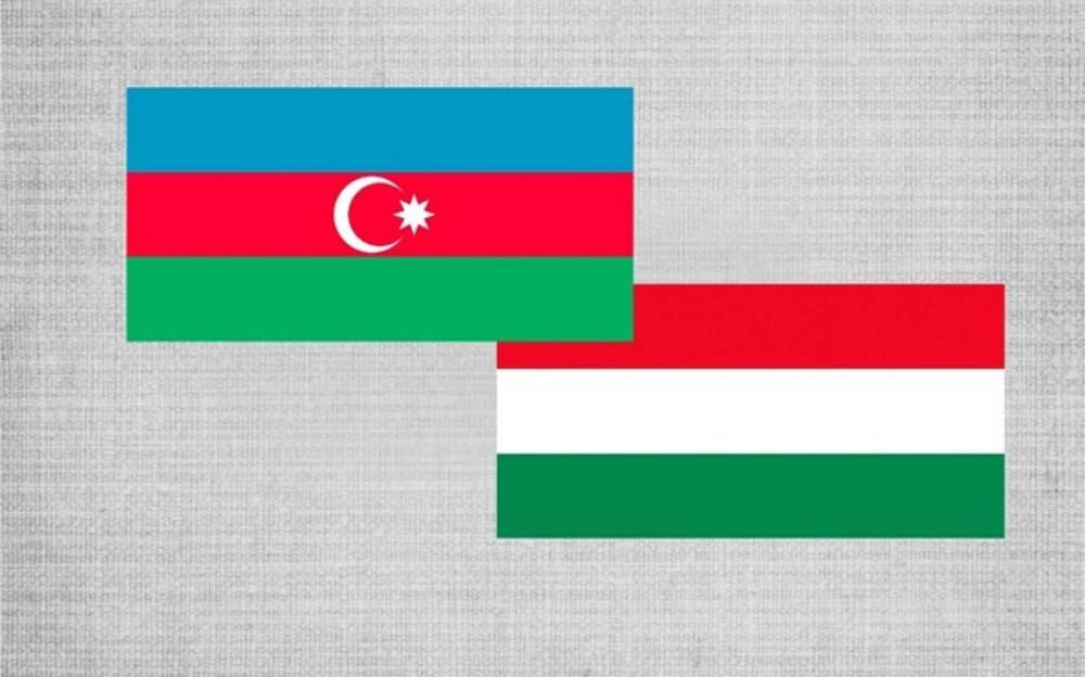 Azərbaycan-Macarıstan iqtisadi əməkdaşlıq komissiyasının növbəti iclasına hazırlıq məsələləri müzakirə olunub