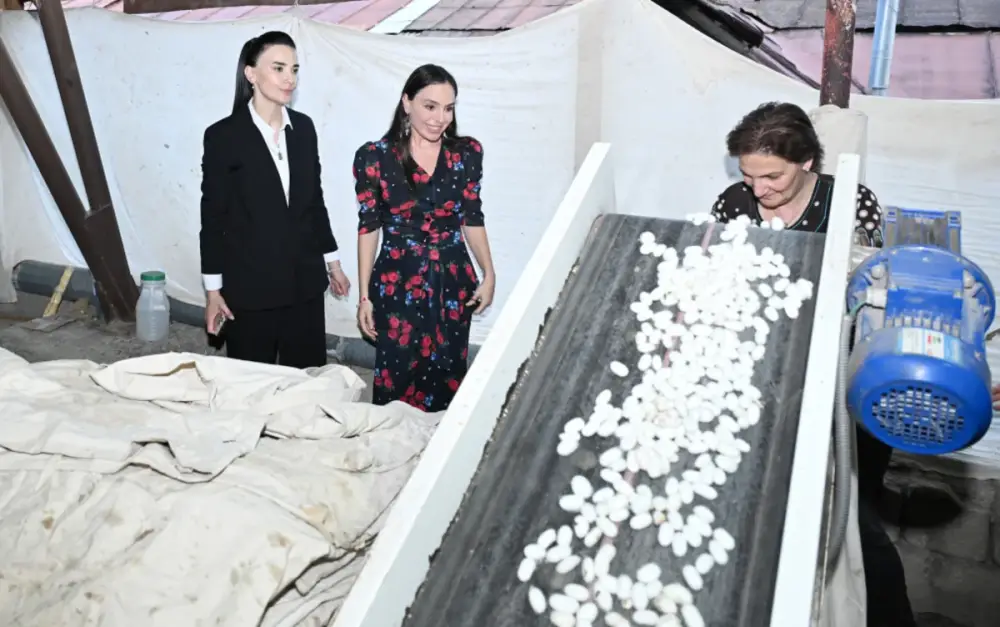Leyla Əliyeva "Azəripək" ASC-nin fəaliyyəti ilə yaxından tanış olub