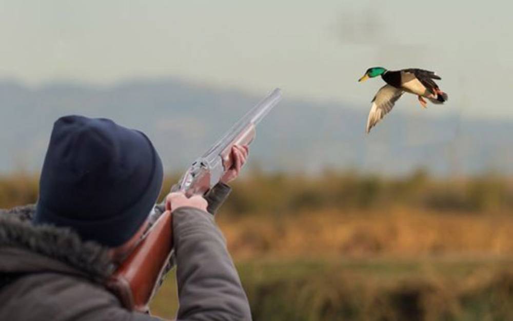 Qanunsuz ov edənlər 6000 manat cərimələndi