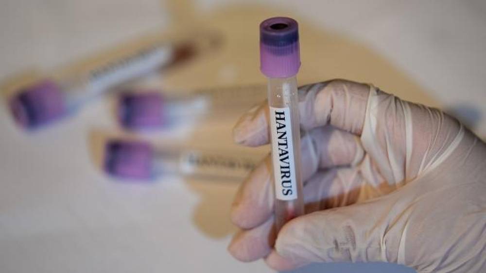 Kanadada bir nəfərdə hantavirus testi müsbət çıxdı