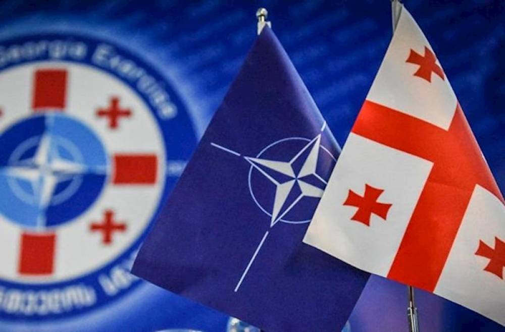 Aİ Gürcüstanla vizasız rejimi dayandırmaq hüququna malik deyil - Gürcüstan XİN